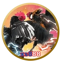 xs888